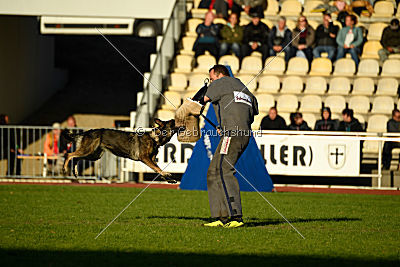 Hilde vom Spektefeld