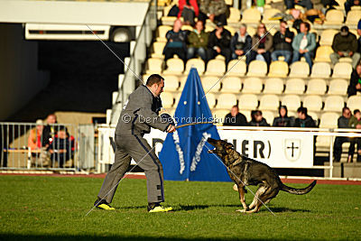 Hilde vom Spektefeld