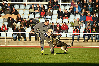 Hilde vom Spektefeld