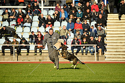 Hilde vom Spektefeld