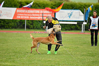 Hip-Hop des Plaines d'Octodure
