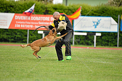 Hip-Hop des Plaines d'Octodure