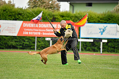 Hip-Hop des Plaines d'Octodure