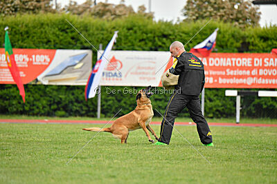 Hip-Hop des Plaines d'Octodure