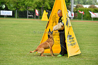 Hip-Hop des Plaines d'Octodure