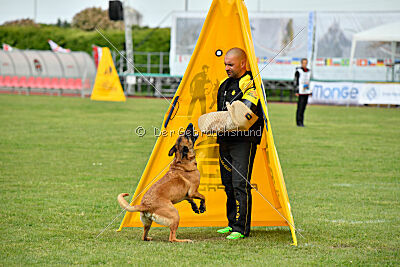 Hip-Hop des Plaines d'Octodure