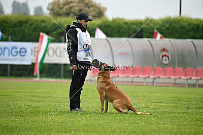 Hip-Hop des Plaines d'Octodure