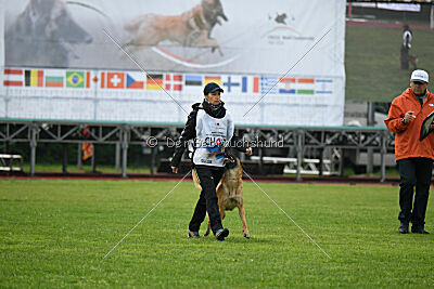 Hip-Hop des Plaines d'Octodure