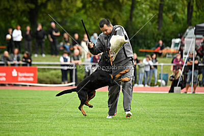 Hobbit vom Tanneneck