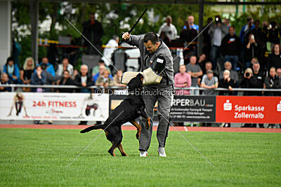 Hobbit vom Tanneneck