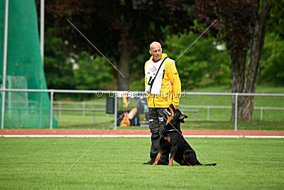 Hobbit vom Tanneneck