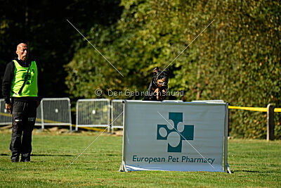 Hobbit vom Tanneneck