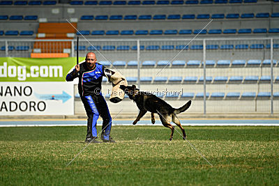 Hohenburg Apocalypse