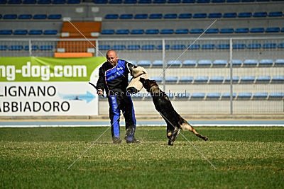 Hohenburg Apocalypse