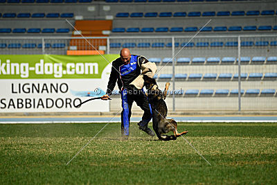 Hohenburg Apocalypse