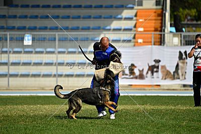 Hohenburg Apocalypse