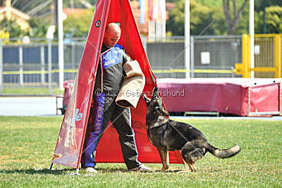 Hohenburg Apocalypse