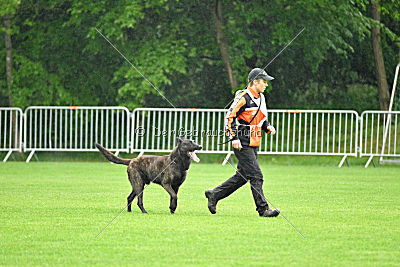 Holland Jango van le Dobry