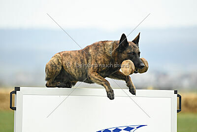 Holland Rasco van Le Dobry