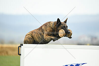 Holland Rasco van Le Dobry