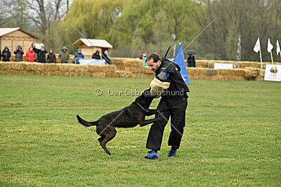 Holland Vato Loco van le Dobry