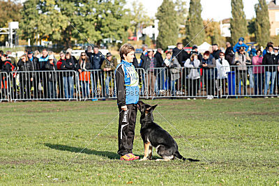 Honda von der kleinen Birke