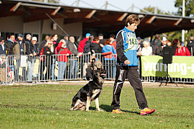 Honda von der kleinen Birke