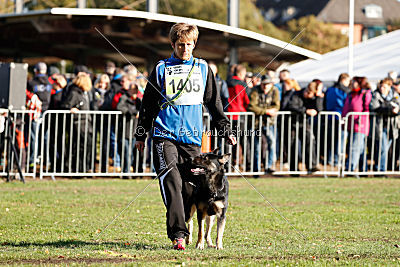Honda von der kleinen Birke
