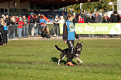 Honda von der kleinen Birke