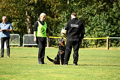 Hops von den Wichtelhäusern