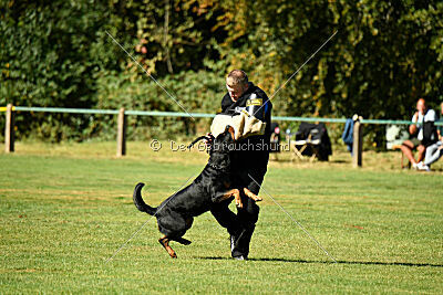 Hops von den Wichtelhäusern