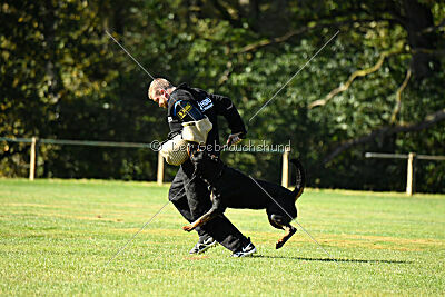 Hops von den Wichtelhäusern