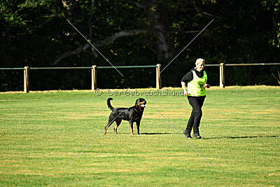 Hops von den Wichtelhäusern