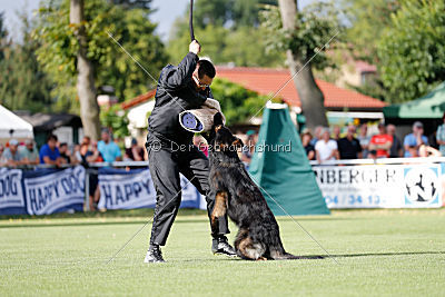 HotShot vom Hessenstein