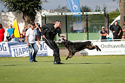 HotShot vom Hessenstein