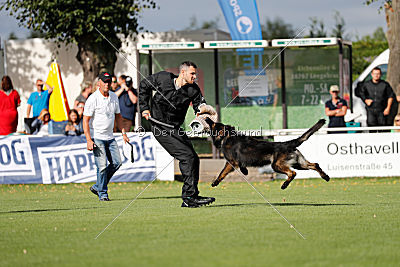 HotShot vom Hessenstein