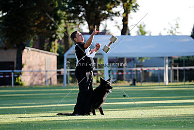 HotShot vom Hessenstein