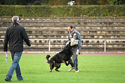 HotShot vom Hessenstein