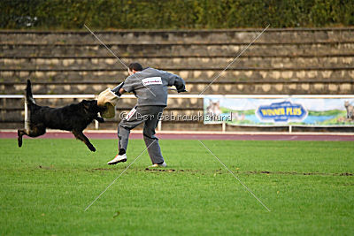 HotShot vom Hessenstein