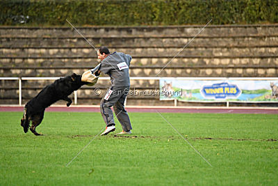 HotShot vom Hessenstein