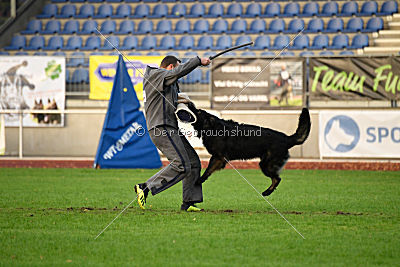 HotShot vom Hessenstein