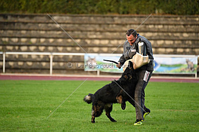 HotShot vom Hessenstein