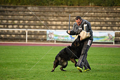 HotShot vom Hessenstein