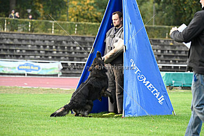 HotShot vom Hessenstein