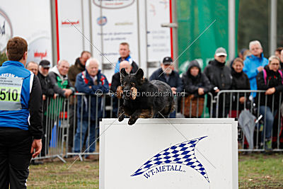 HotShot vom Hessenstein