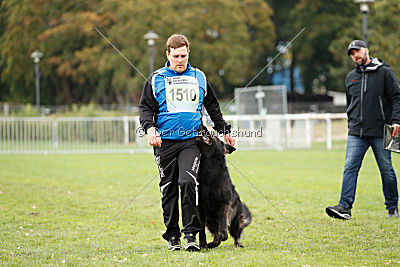 HotShot vom Hessenstein