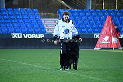 HotShot vom Hessenstein