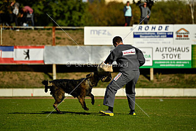 HotShot vom Hessenstein