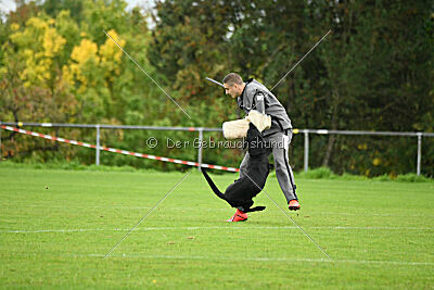Hunter