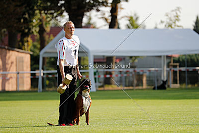 Hunter vom Hollermorgen